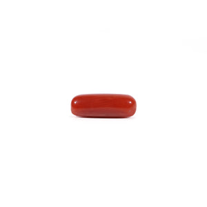 Red Coral - Moonga - 3.3 Carat - Pramogh