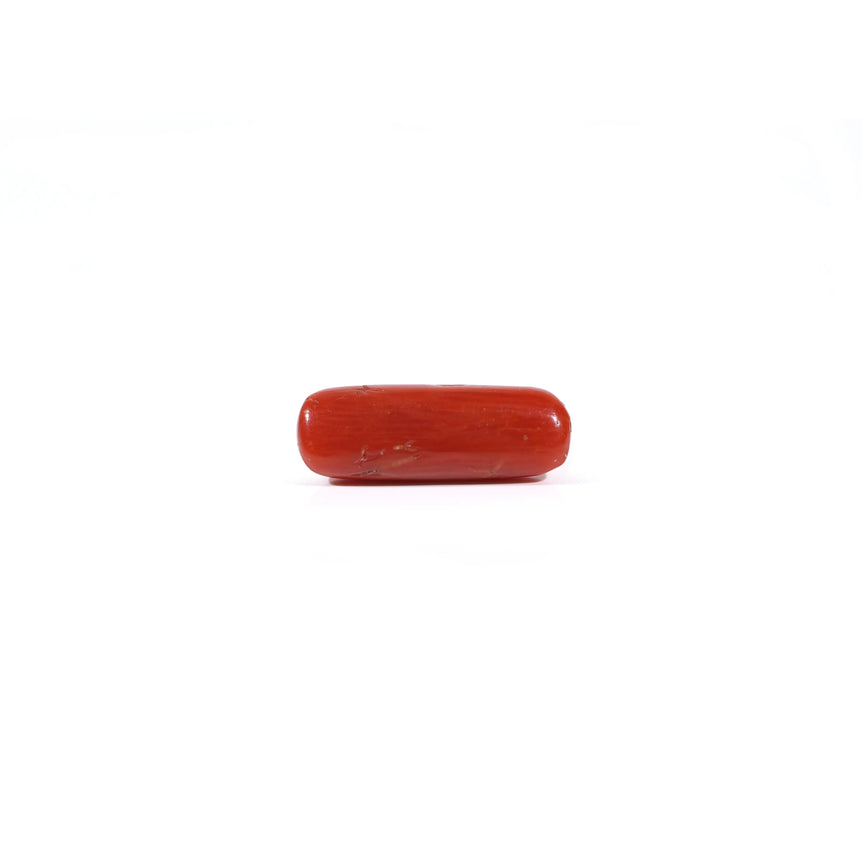 Red Coral - 3.3 Carat