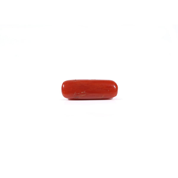 Red Coral - 3.3 Carat