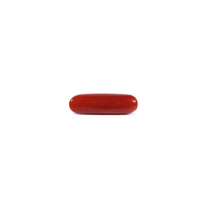 Red Coral - Moonga - 3.25 Carat - Pramogh