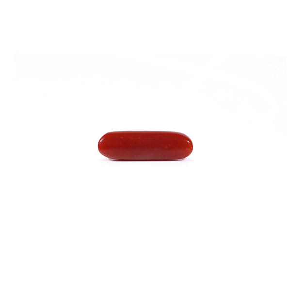Red Coral - 3.25 Carat
