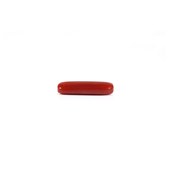 Red Coral - 3.25 Carat