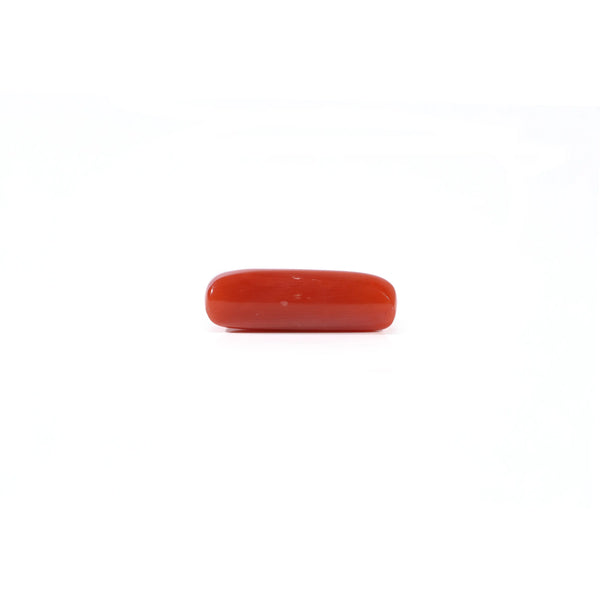 Red Coral - 3.6 Carat