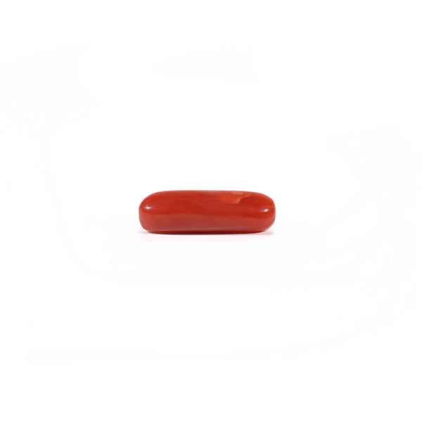 Red Coral - 3.6 Carat