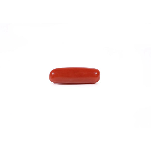 Red Coral - Moonga - 3.67 Carat - Pramogh