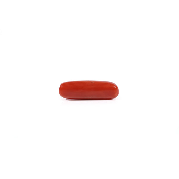 Red Coral - 3.67 Carat