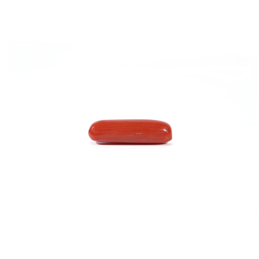Red Coral - 3.67 Carat