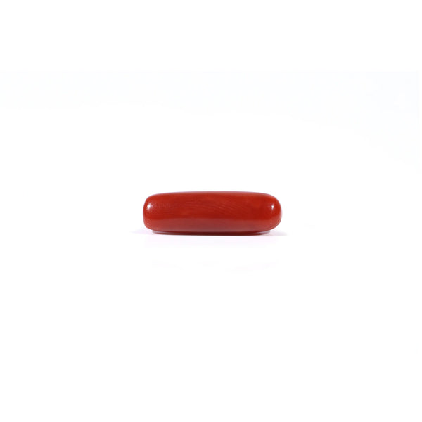 Red Coral - Moonga - 3.47 Carat - Pramogh