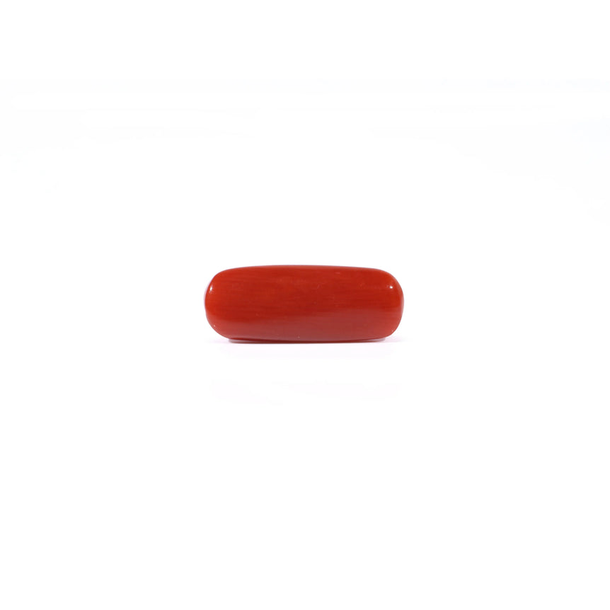 Red Coral - 3.08 Carat