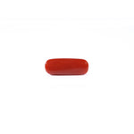 Red Coral - 3.08 Carat