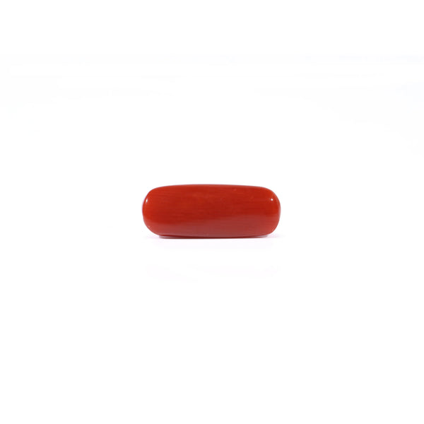 Red Coral - 3.08 Carat