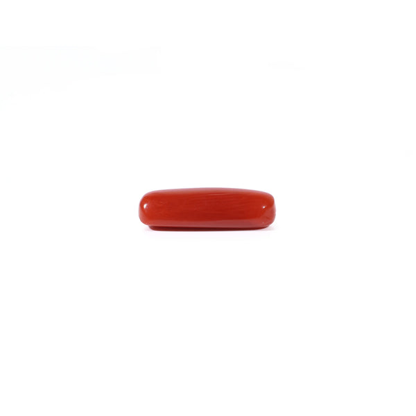 Red Coral - 3.08 Carat