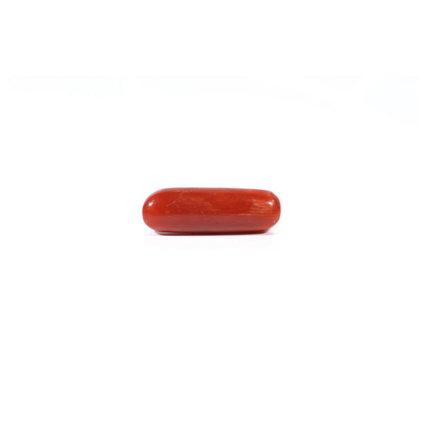 Red Coral - Moonga - 4.52 Carat - Pramogh