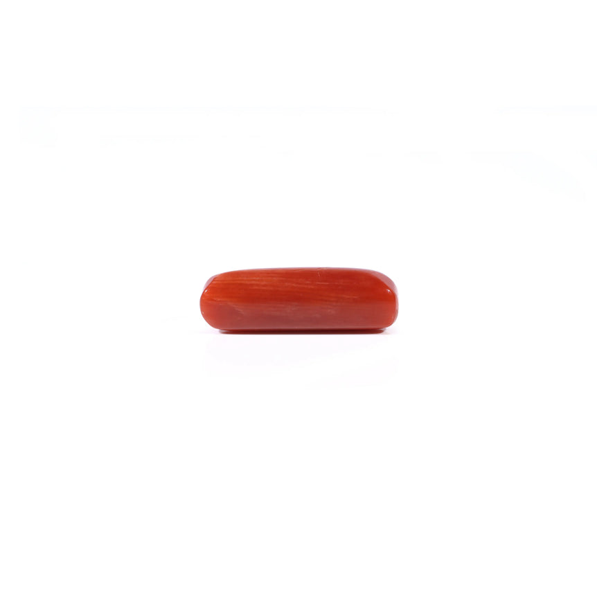 Red Coral - 4.52 Carat