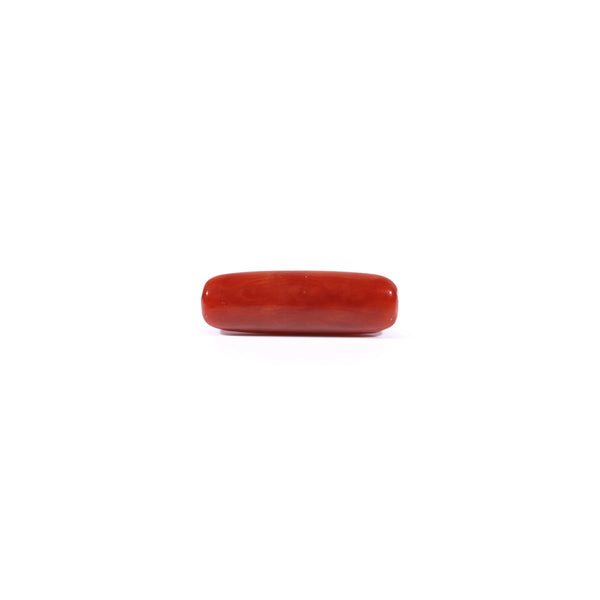 Red Coral - 3.65 Carat