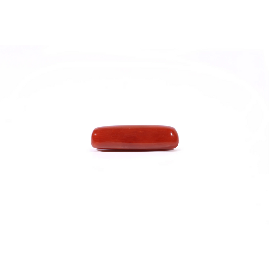 Red Coral - 3.65 Carat