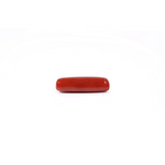Red Coral - 3.65 Carat