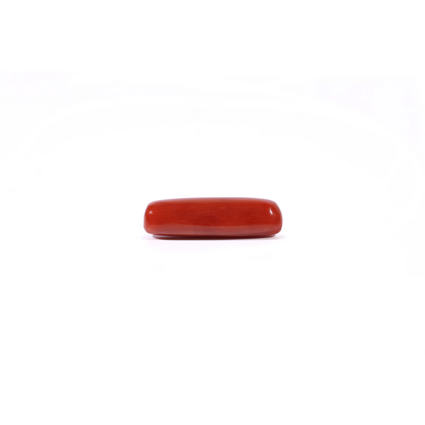 Red Coral - 3.65 Carat