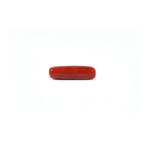 Red Coral - Moonga - 4.5 Carat - Pramogh