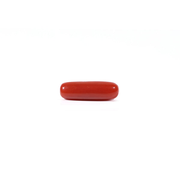 Red Coral - Moonga - 3.4 Carat - Pramogh