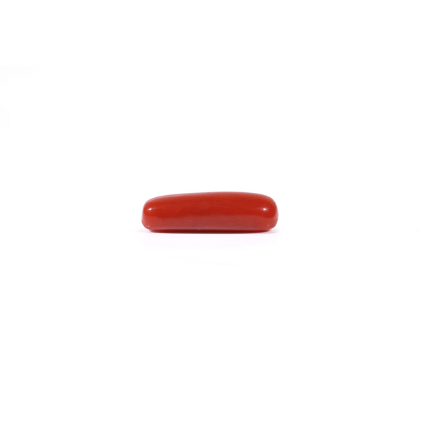 Red Coral - 3.4 Carat