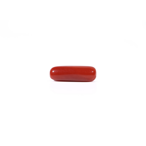 Red Coral - Moonga - 3.38 Carat - Pramogh
