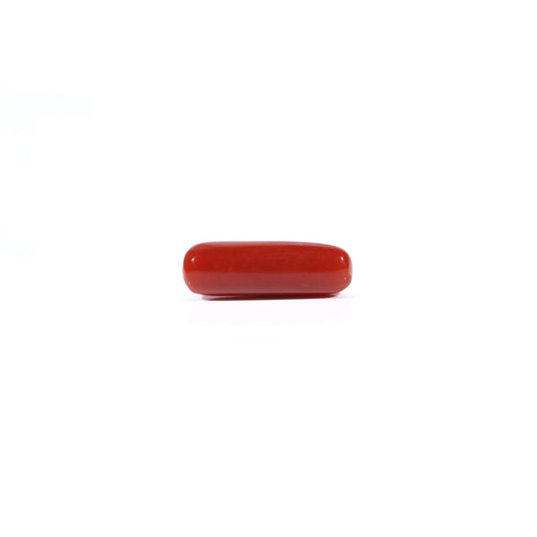 Red Coral - 3.38 Carat