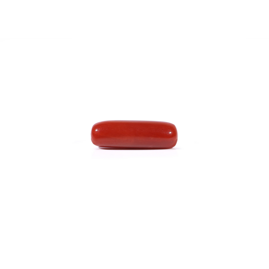 Red Coral - 3.38 Carat