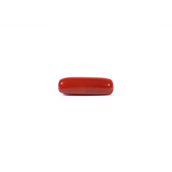Red Coral - 3.38 Carat