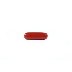 Red Coral - Moonga - 3.7 Carat - Pramogh
