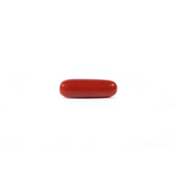 Red Coral - Moonga - 3.7 Carat - Pramogh