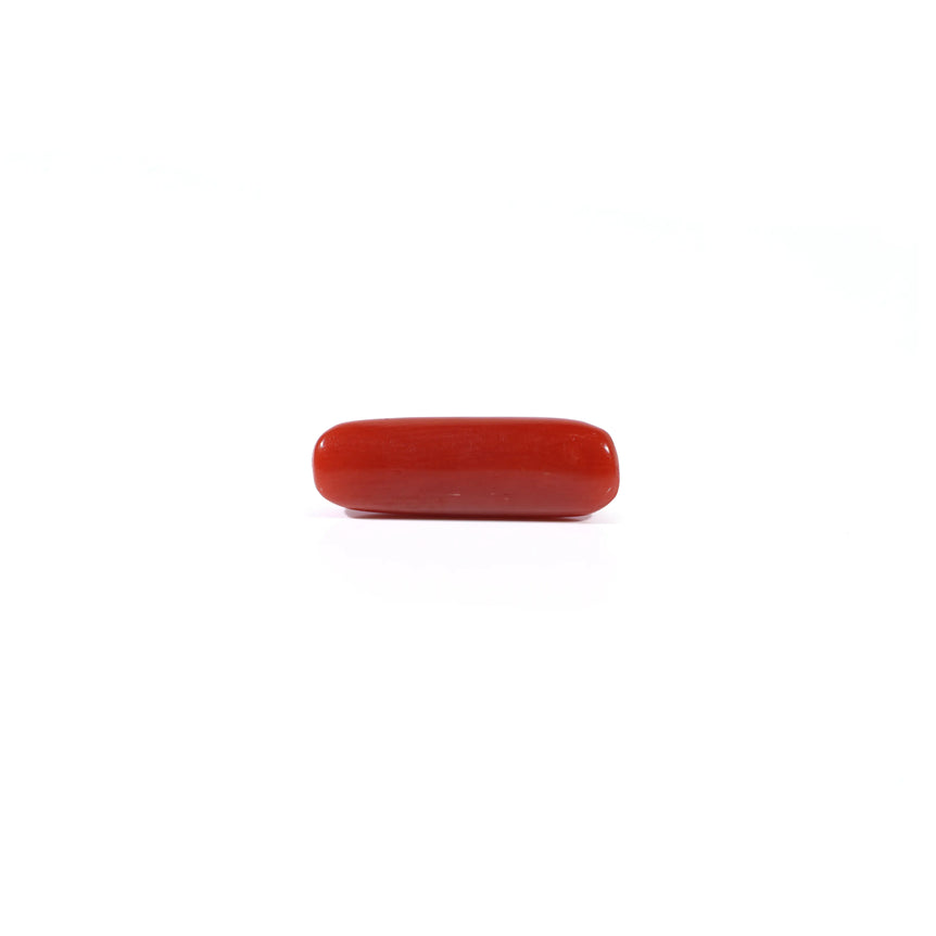 Red Coral - 3.7 Carat