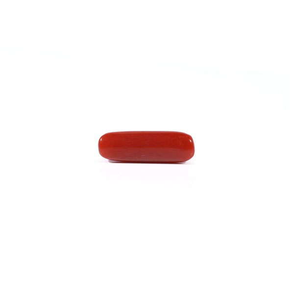 Red Coral - 3.7 Carat
