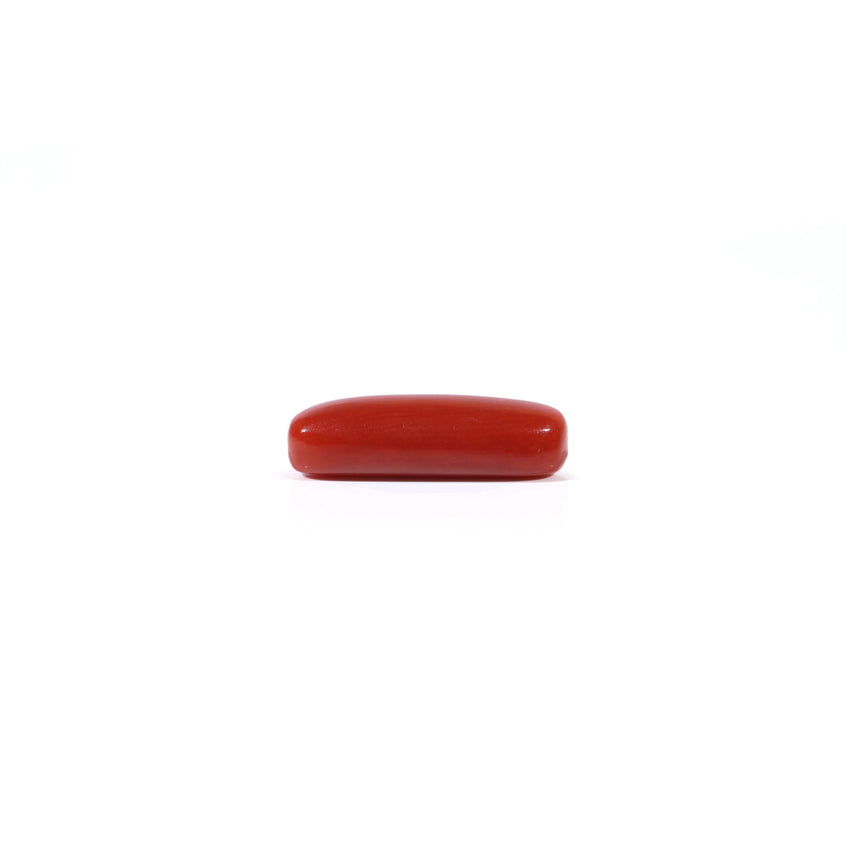 Red Coral - 3.7 Carat