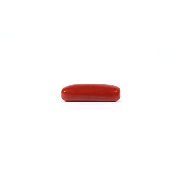 Red Coral - 3.7 Carat