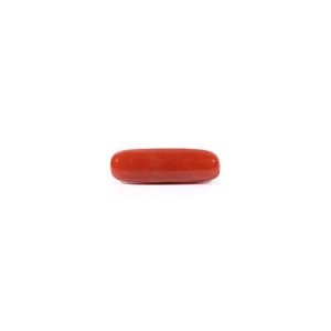 Red Coral - Moonga - 3.6 Carat - Pramogh