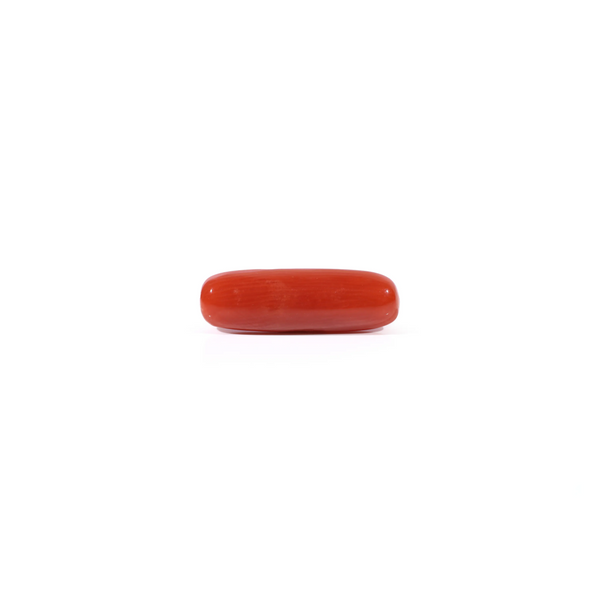 Red Coral - Moonga - 3.6 Carat - Pramogh