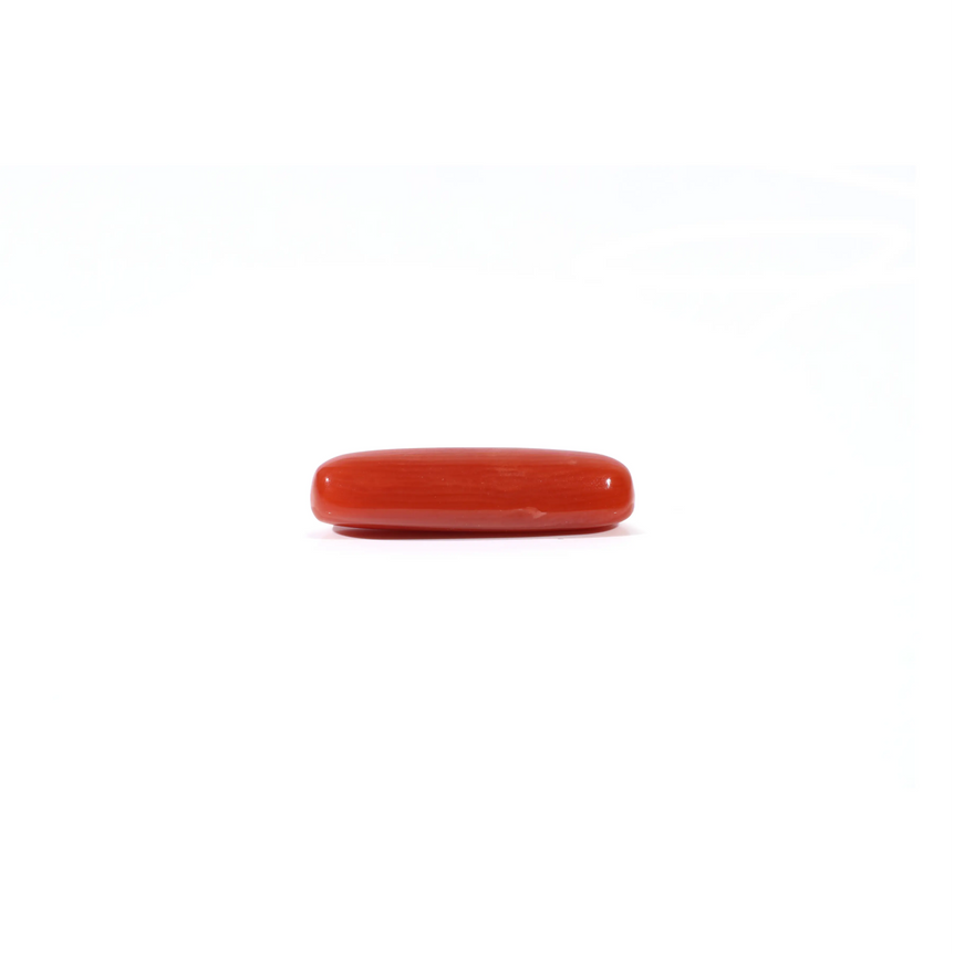 Red Coral - 3.6 Carat