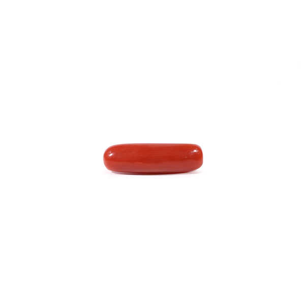 Red Coral - Moonga - 3.8 Carat - Pramogh