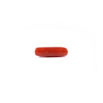 Red Coral - 3.8 Carat