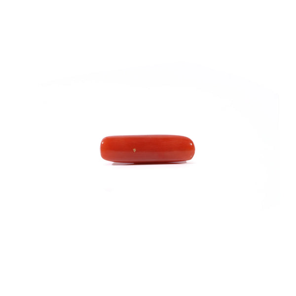 Red Coral - 3.8 Carat
