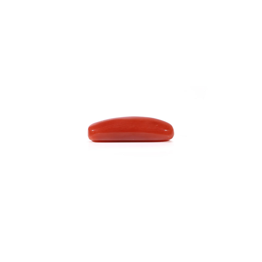 Red Coral - 3.8 Carat