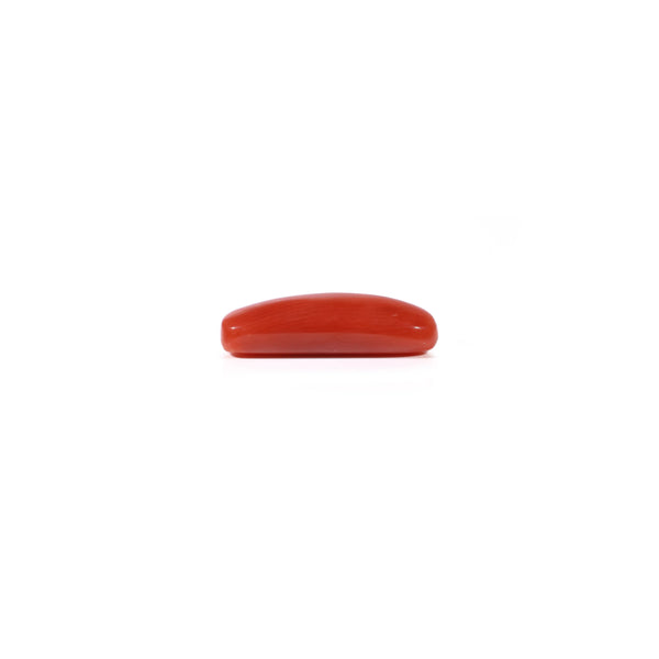 Red Coral - 3.8 Carat