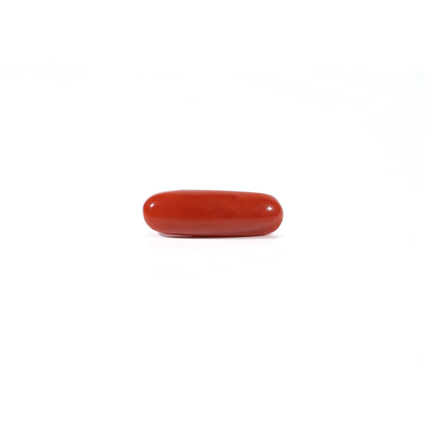 Red Coral - Moonga - 3.25 Carat - Pramogh
