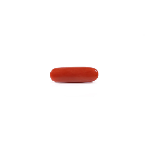 Red Coral - 3.25 Carat