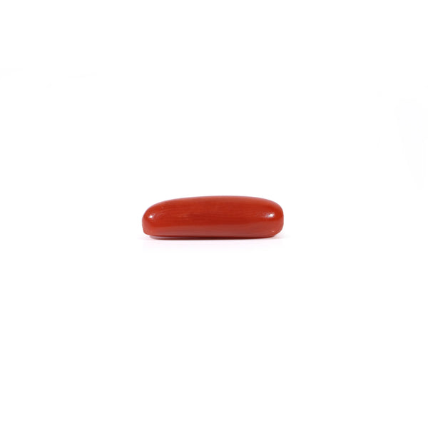 Red Coral - 3.25 Carat
