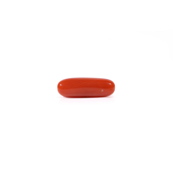 Red Coral - Moonga - 3.2 Carat - Pramogh