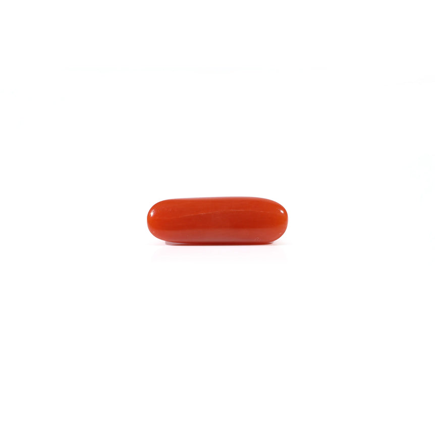 Red Coral - 3.2 Carat