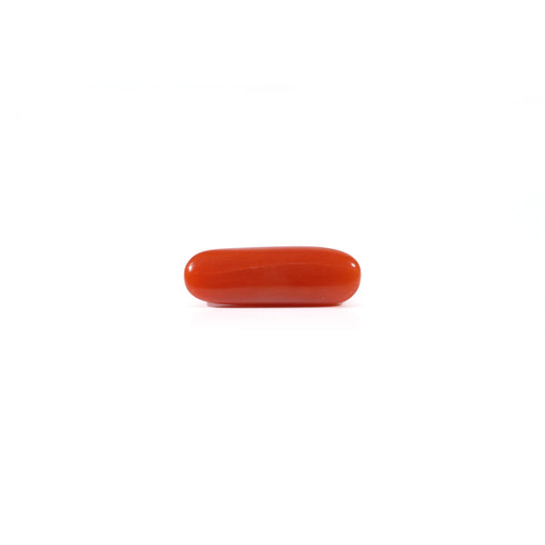 Red Coral - 3.2 Carat