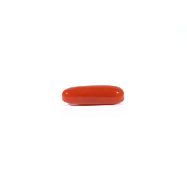 Red Coral - 3.2 Carat